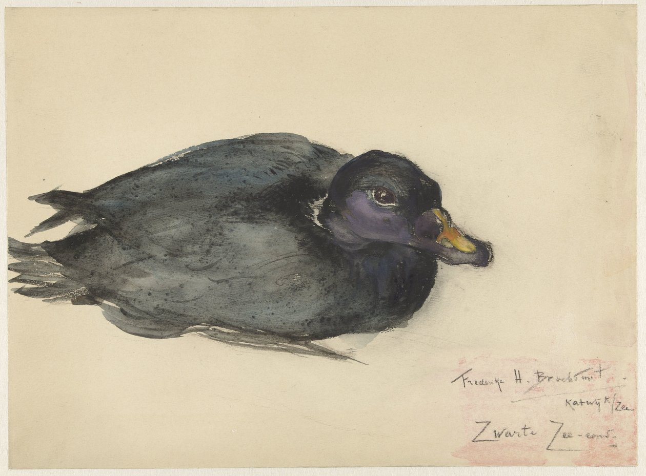 Schwarze Samtente von Frederika Henriëtte Broeksmit