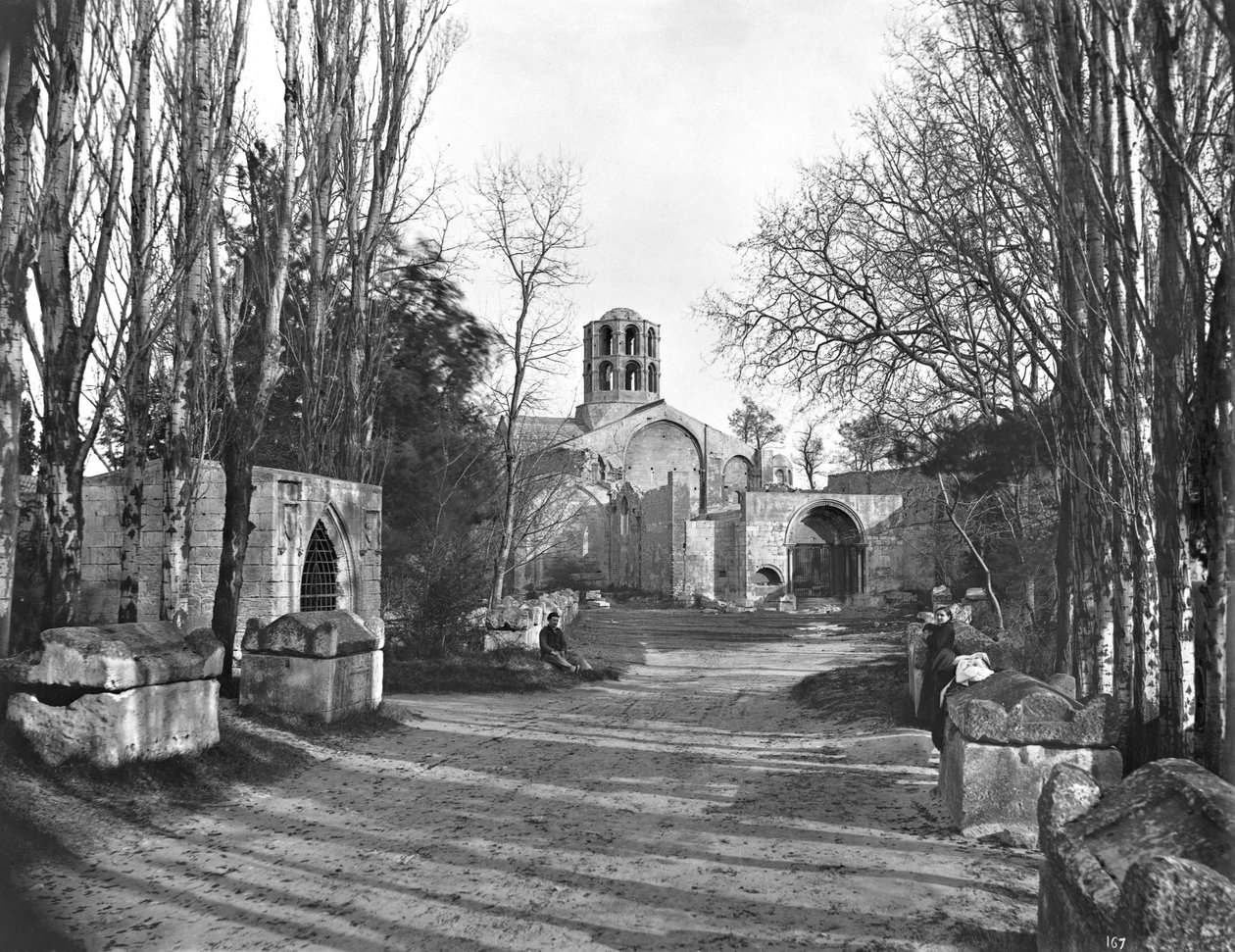 Spaziergang von Les Alyscamps von French Photographer