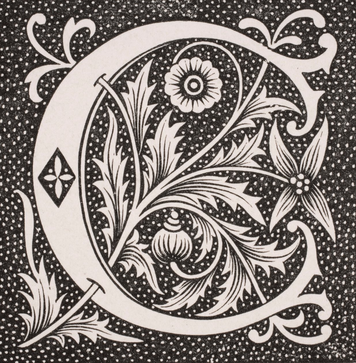 Verzierte Buchstabe 