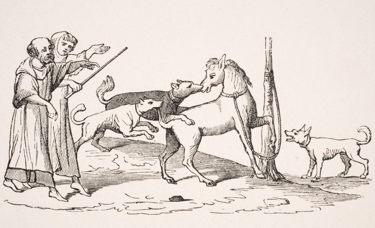 Kampf zwischen Pferd und Hunden, Reproduktion einer Miniatur in einem Manuskript aus dem 13. Jahrhundert, aus 