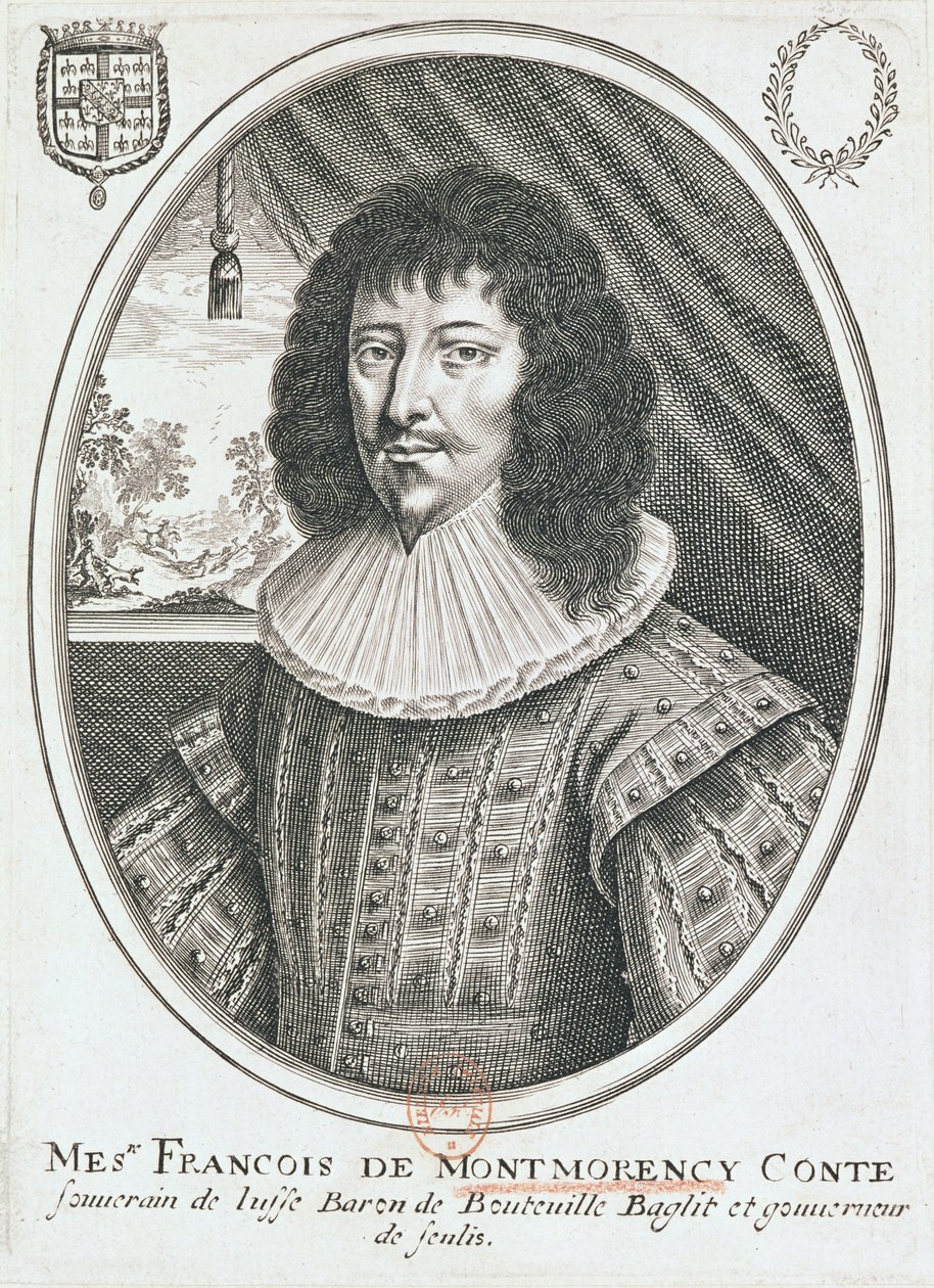 Porträt von Francois de Montmorency (1530-79) 1600-27 von French School