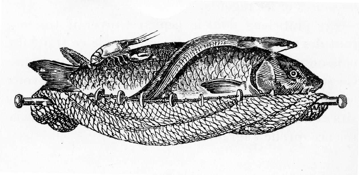 Vignette für Kapitel XIX, S. 262 aus 