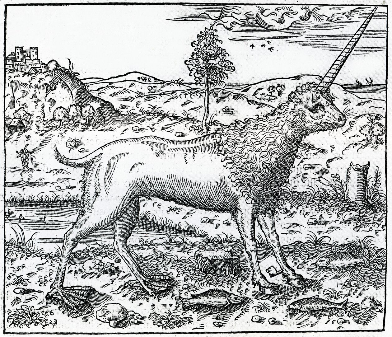 Ein Campchurch-Einhorn, Illustration aus 