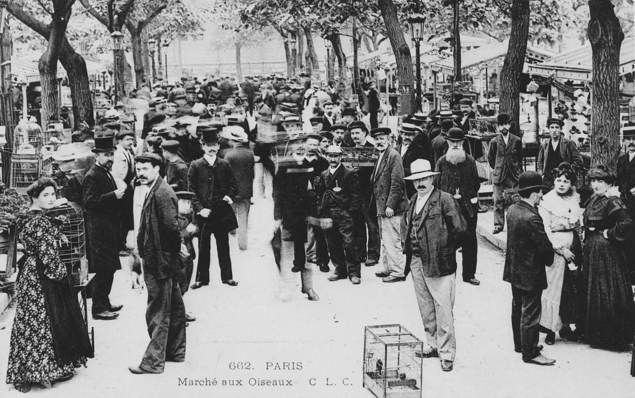 Vogelmarkt, Paris von French Photographer