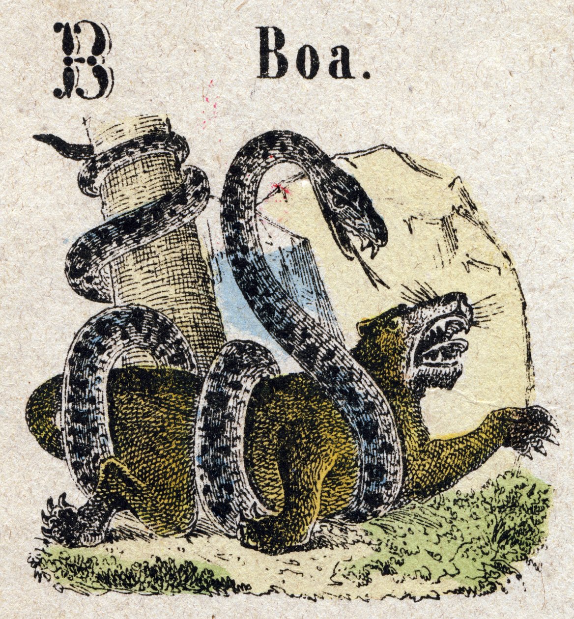 Abecedarium. Buchstabe B wie Boa. Kleines enzyklopädisches Alphabet, beliebte Serie. Epinaler Bildgebung, Ende des 19. Jahrhunderts von French School