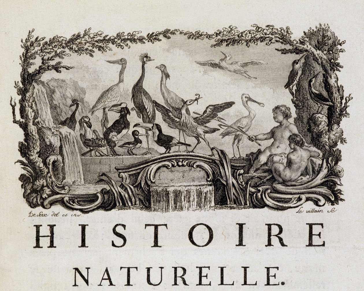 Allegorie der Naturgeschichte über Vögel - in „Histoire naturelle, générale et particulière“ von Buffon von French School