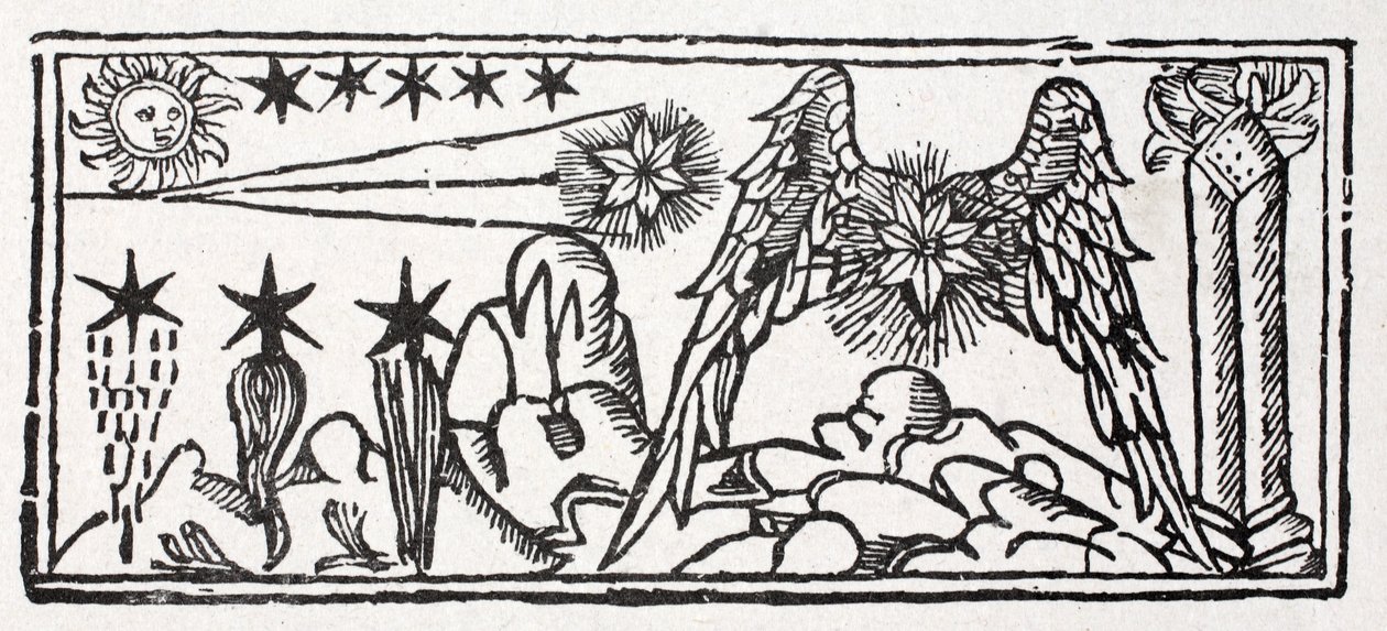 Bärtige Sterne, eine Sternschnuppe, Schweif eines Kometen, ein langhaariger Stern, ein festgenagelter Stern von French School