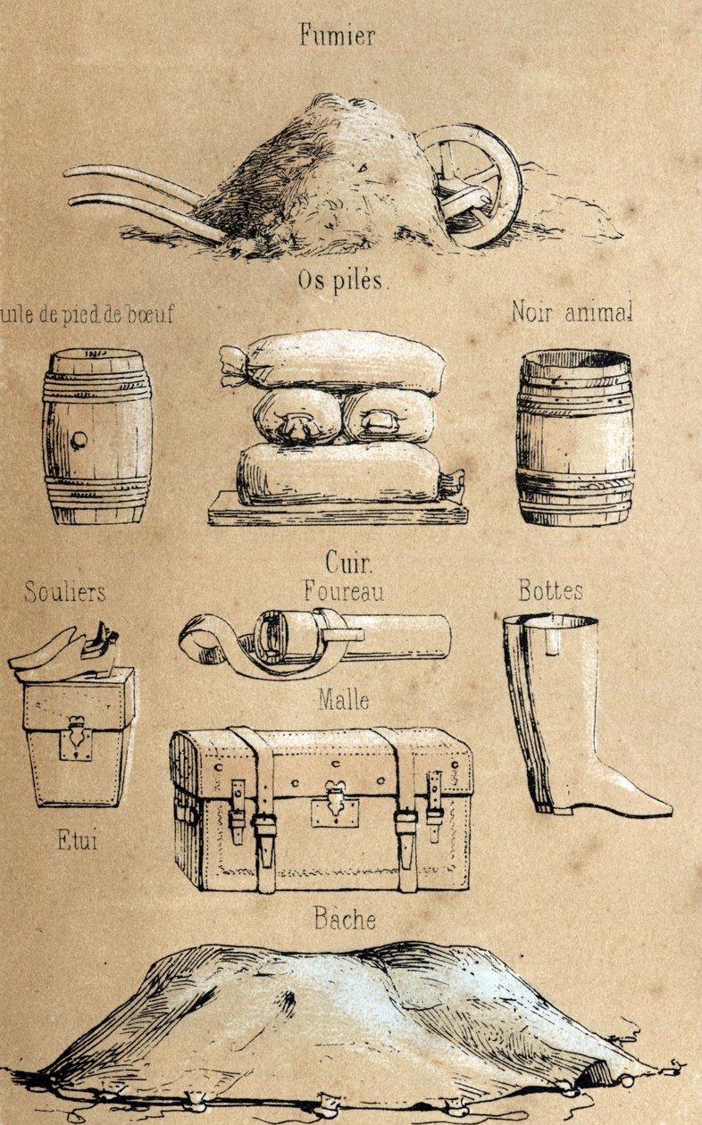 Beschreibung der verschiedenen Produkte und Verwendungen der Kuh: alle Arten von Gegenständen aus der Kuh (Rinderfußöl, Ledergegenstände, Dünger). Tafel „La coache et ses produits“ in „les Recreations instructives“ Synoptisches Gemälde von Jules DELBRUCK,  von French School