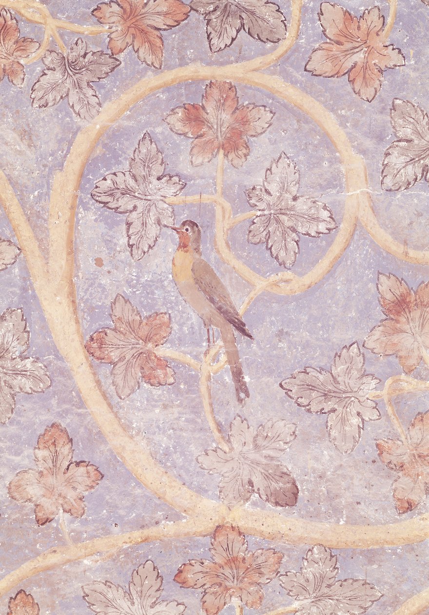 Detail eines Vogels, aus der Wanddekoration des Schlafzimmers des Papstes, ca. 1334-62 von French School
