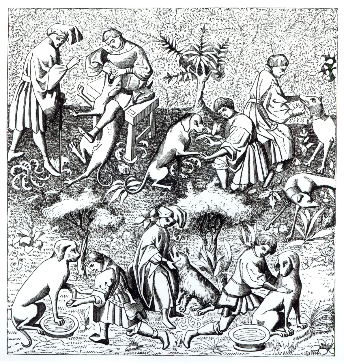 Krankheiten von Hunden und ihre Heilung, nach einer Miniatur im Manuskript von Gaston de Foix von French School