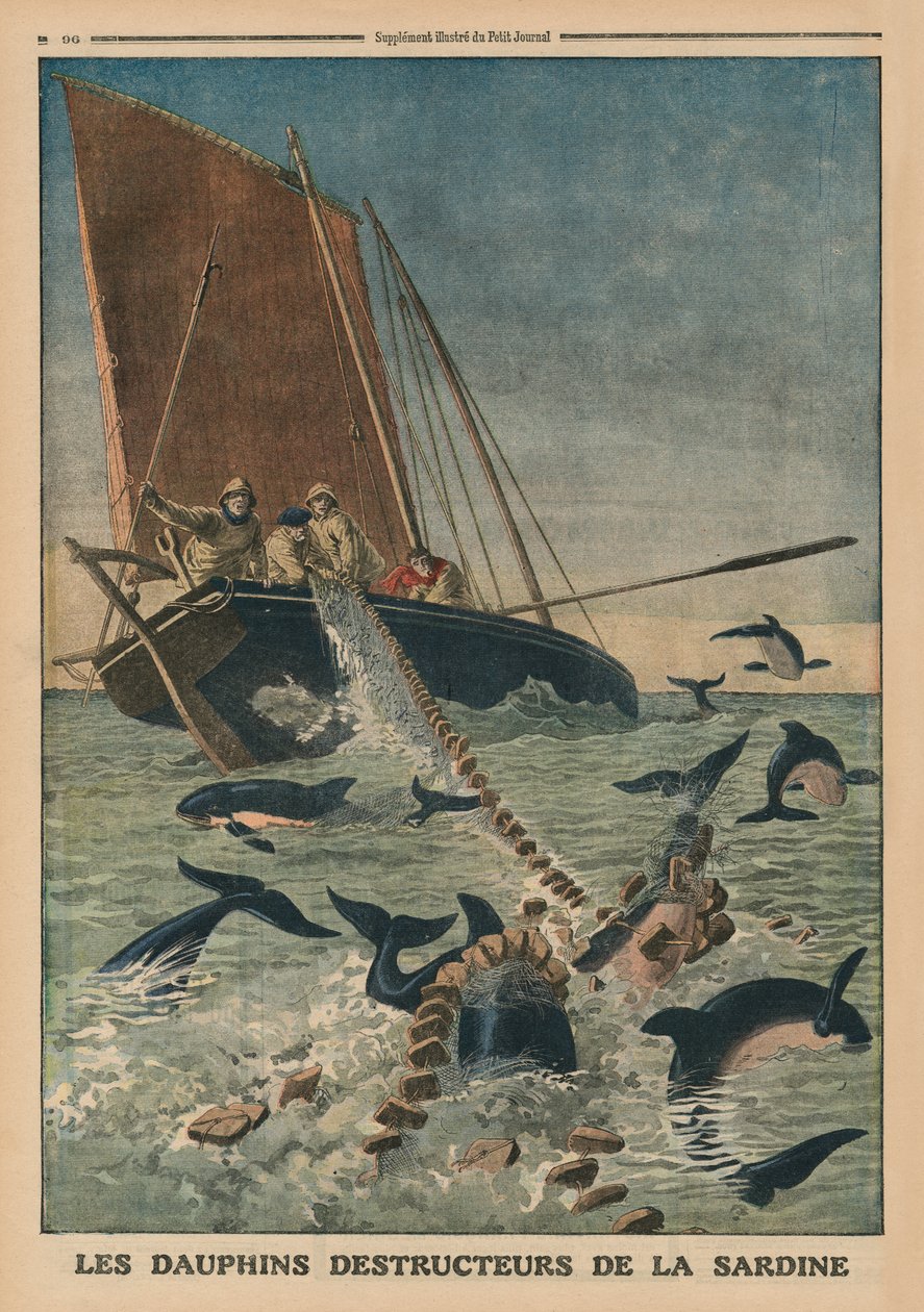 Delfine zerstören Sardinen, Titelbildillustration aus 
