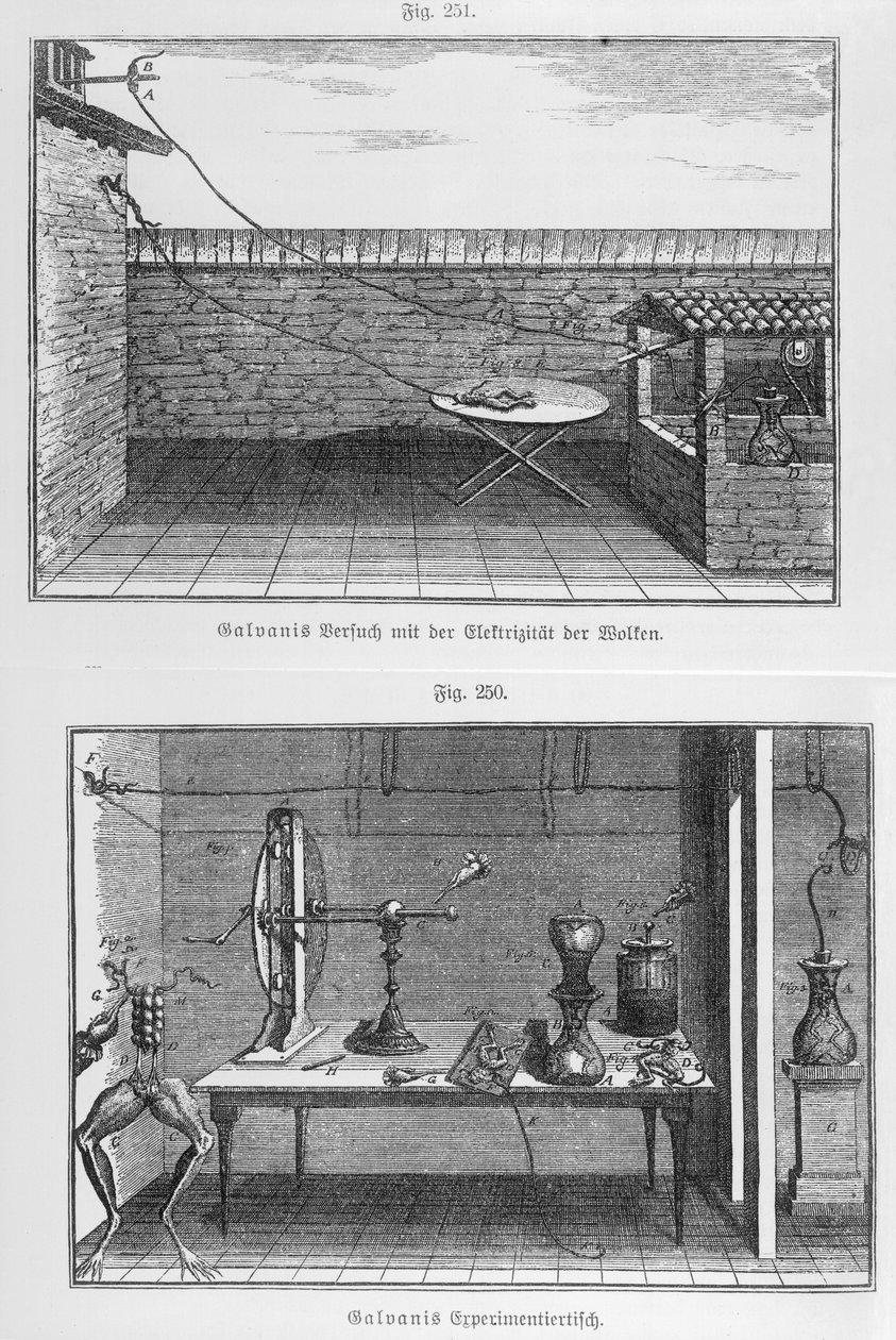 Experiment an Fröschen von Luigi Galvani (1737-98), spätes 18. Jahrhundert von French School