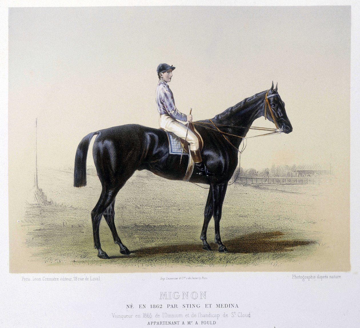 Berühmtes Rennpferd - in „Der Centaur“ 1866 von French School
