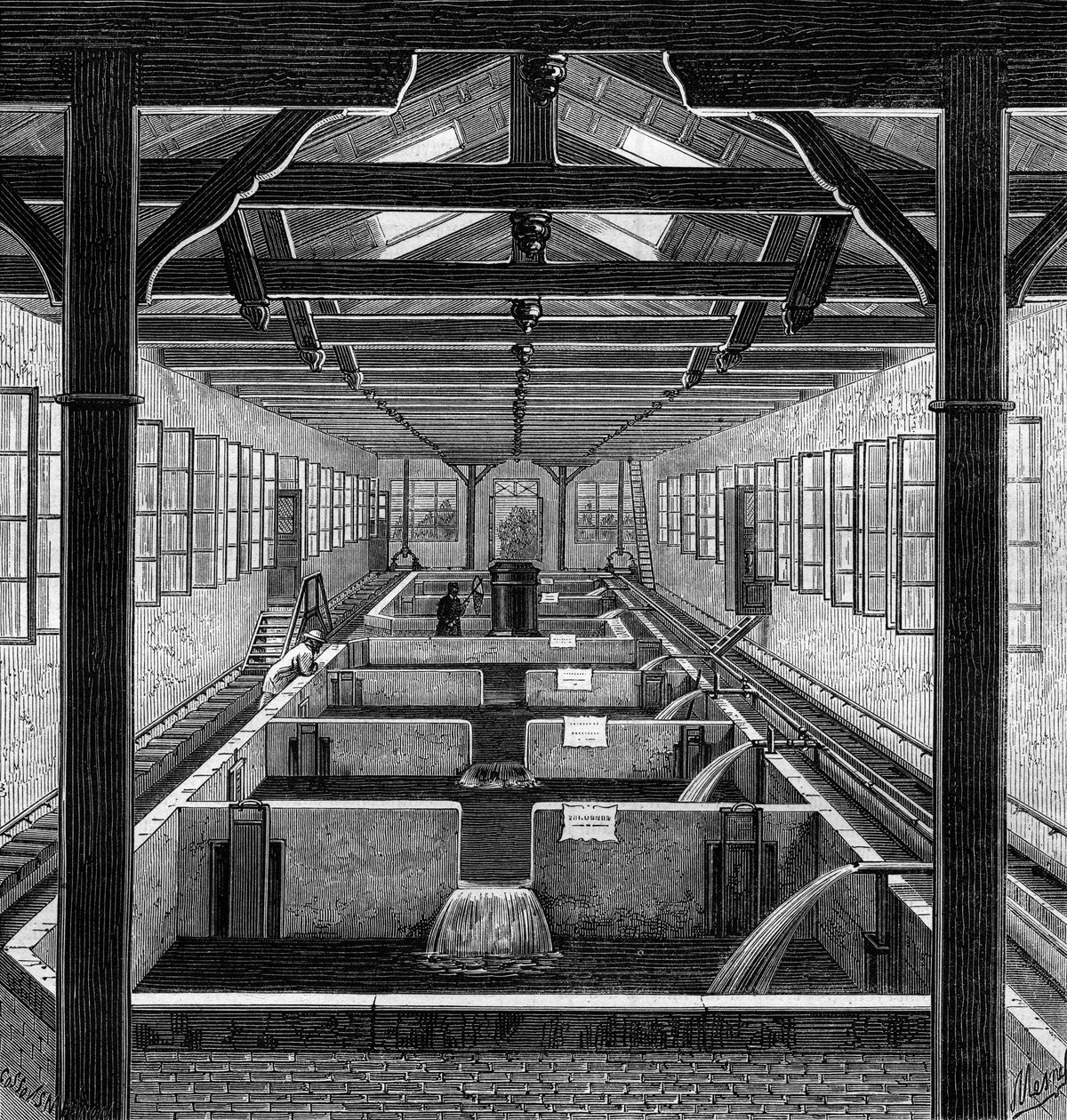Fischzucht: die bewirtschafteten Teiche von Brut in Huningue, Haut Rhin (68) von French School