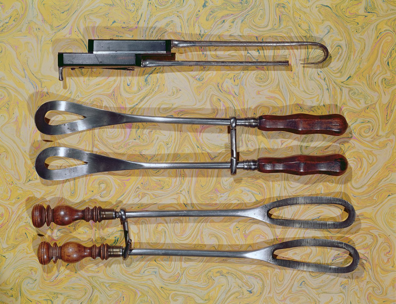 Zange verwendet von Jan Palfyn aus Gent (1650-1730) (Holz & Metall) von French School