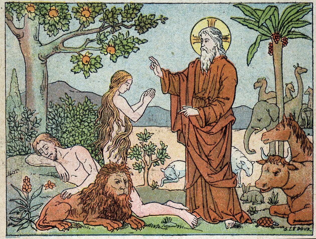 Gott: 6. Tag der Schöpfung - in „Holy History in 120 images“, ed. Maison de la Bonne Presse, Paris von French School