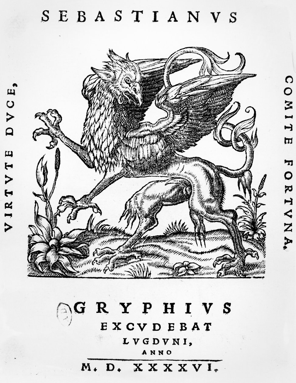 Greif-Druckeremblem von Sebastianus Gryphius, Lyon, 1546 von French School
