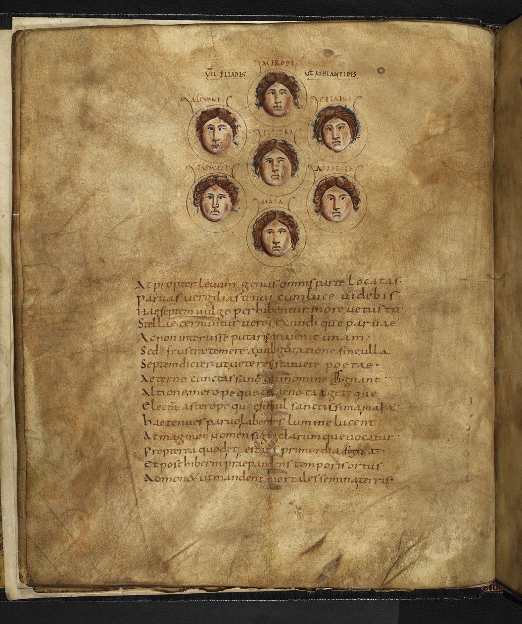 Illustration der Gesichter der Plejaden, sieben Schwestern, die als Sterne im Himmel lebten, mit ihren Namen um sie herum, aus 