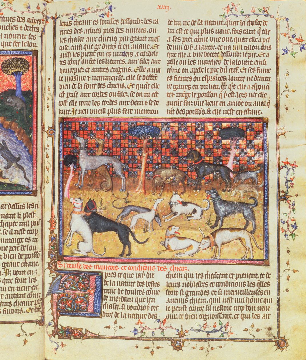 Jagdhunde von Gaston III., Comte de Foix Phebus le Chasseur (1331-91), aus Livre de la Chasse, 1387-89 von French School