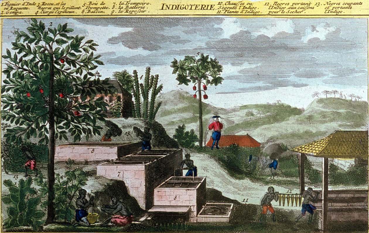 Indigoterie in Westindien, (Detail) aus „Allgemeine Geschichte der Antillen, bewohnt von den Franzosen“ von Du Tertre, frühes 19. Jahrhundert von French School