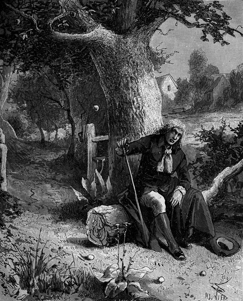 Isaac Newton (1642-1727), englischer Mathematiker und Astronom, entdeckt das Konzept der Erdanziehung durch einen Apfel, der von einem Apfelbaum in Woolsthorpe fällt von French School