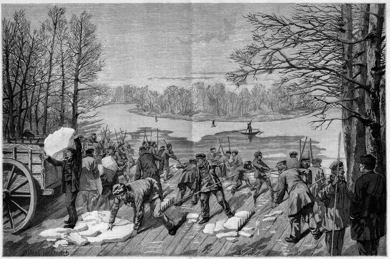 Die Eisernte auf den gefrorenen Seen des Bois de Vincennes, in „Die illustre Welt“ 1887. von French School