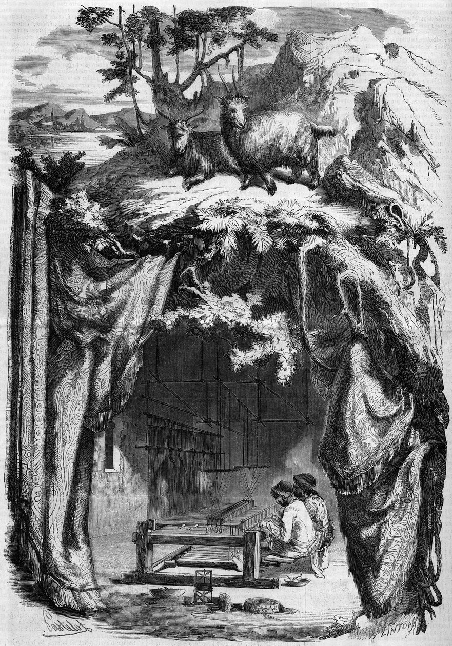 Herstellung von Kaschmir, Indien von French School