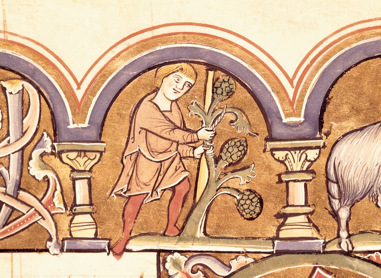 März: Bäume veredeln, aus dem Psalter der St. Elisabeth von French School