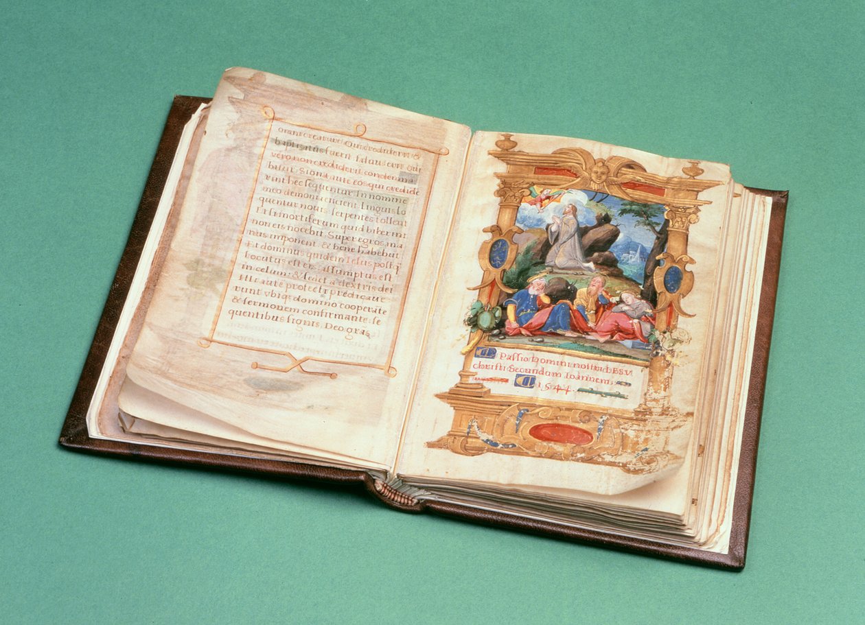 Gebetbuch von Maria Stuart (Tinte auf Pergament?) von French School