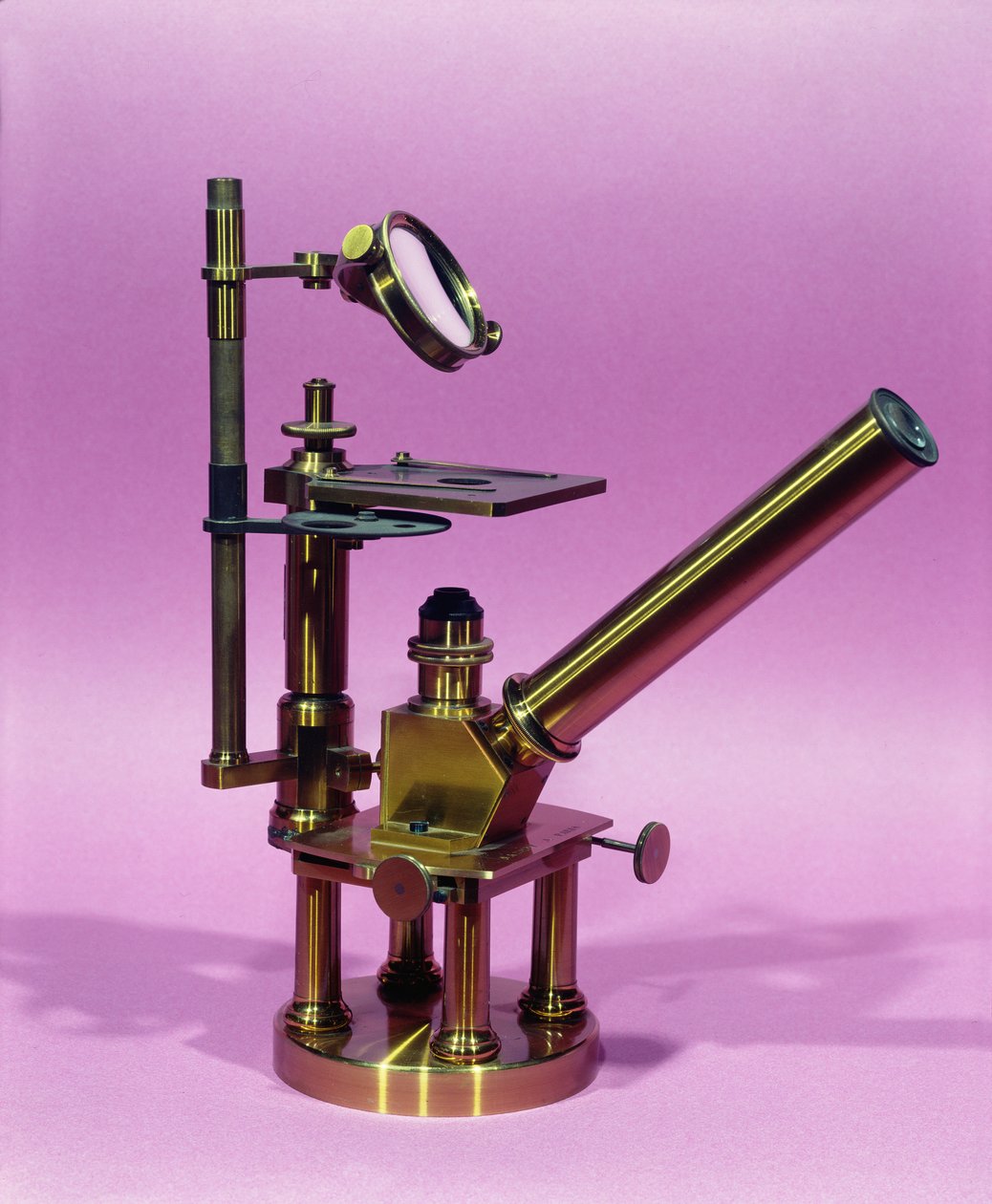 Mikroskop von Louis Pasteur (1811-95) (Metall) von French School