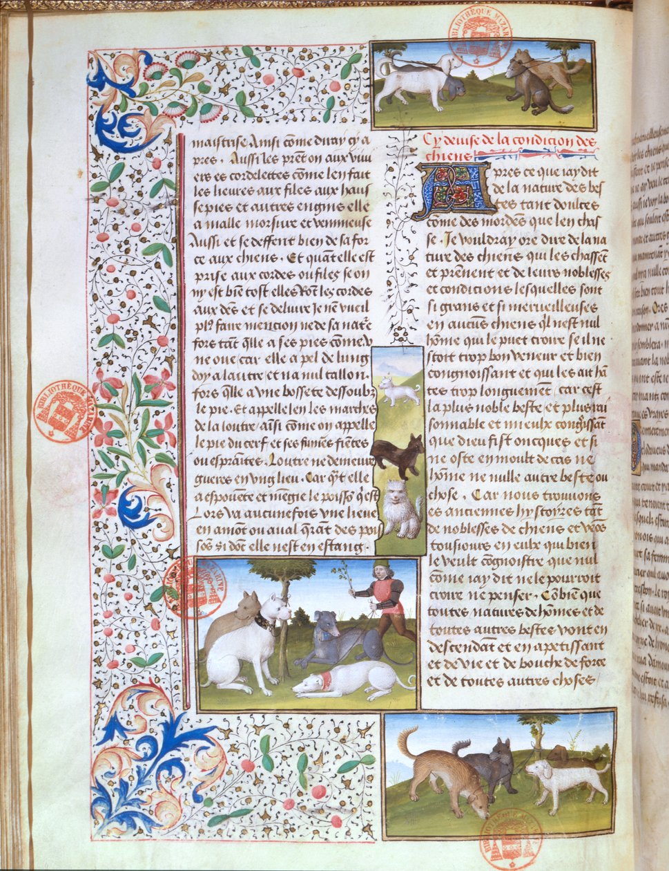 Jagdhunde, aus dem Livre de la Chasse von Gaston Phebus de Foix (1331-91) von French School