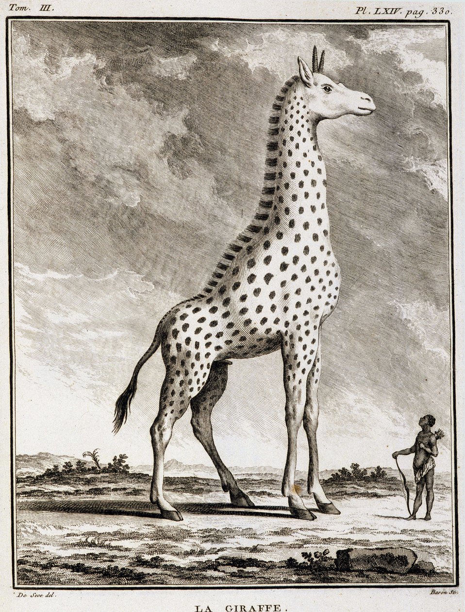 Naturgeschichtstafel: Die Giraffe - in „Naturgeschichte, allgemein und besonders“ von Buffon von French School