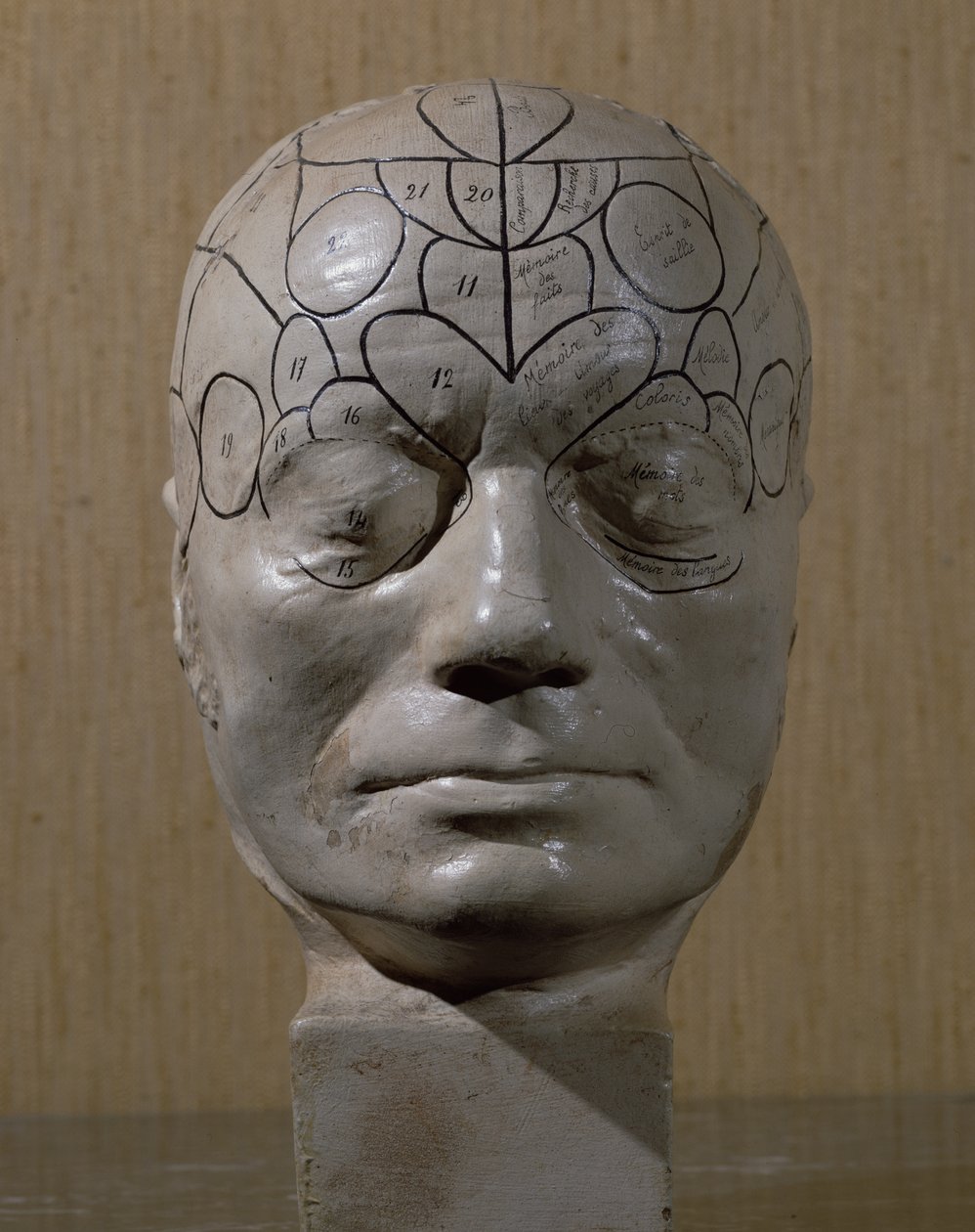 Phrenologischer Kopf von Jean Martin Charcot von French School