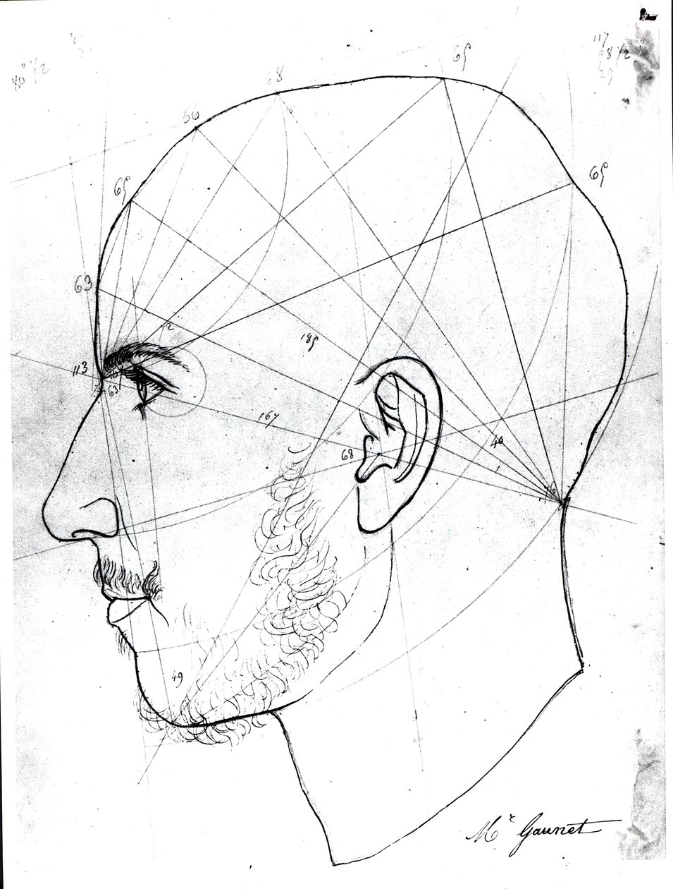 Phrenologische Studie, aus einem Manuskript von Doktor Philippe Jean Pelletan von French School