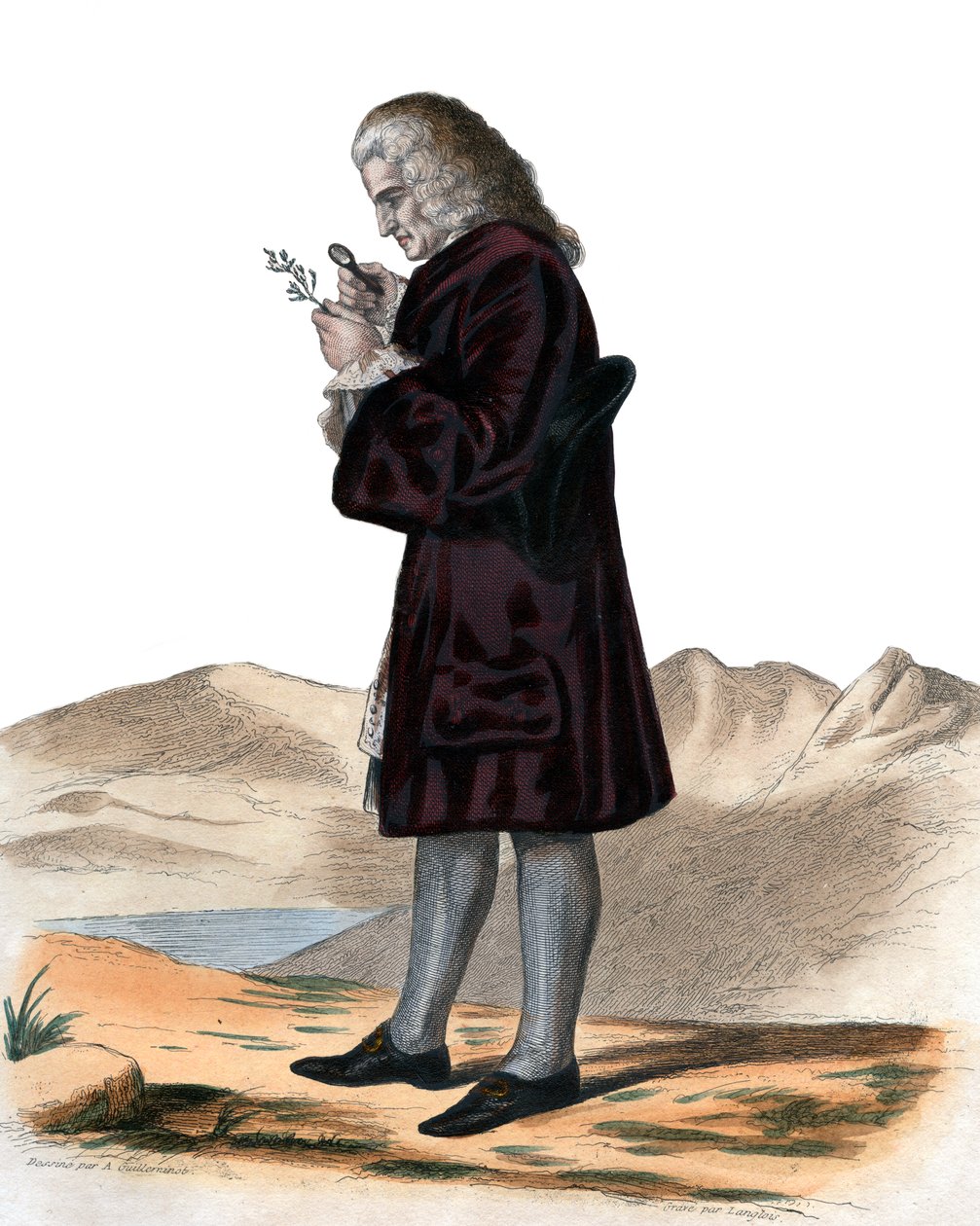 Porträt von Bernard de Jussieu (1699-1777), französischer Naturforscher von French School