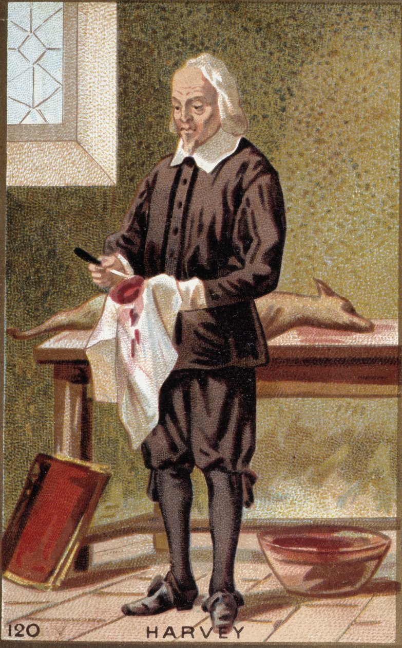 Porträt von William Harvey (1578-1657), englischer Arzt. von French School
