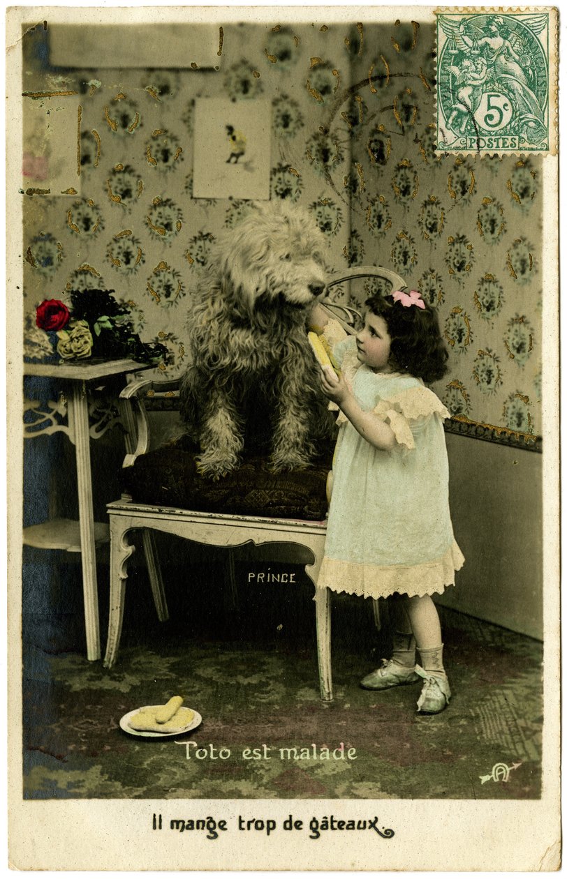 Postkarte: Toto ist krank, er hat zu viel Kuchen gegessen, Prince von French School