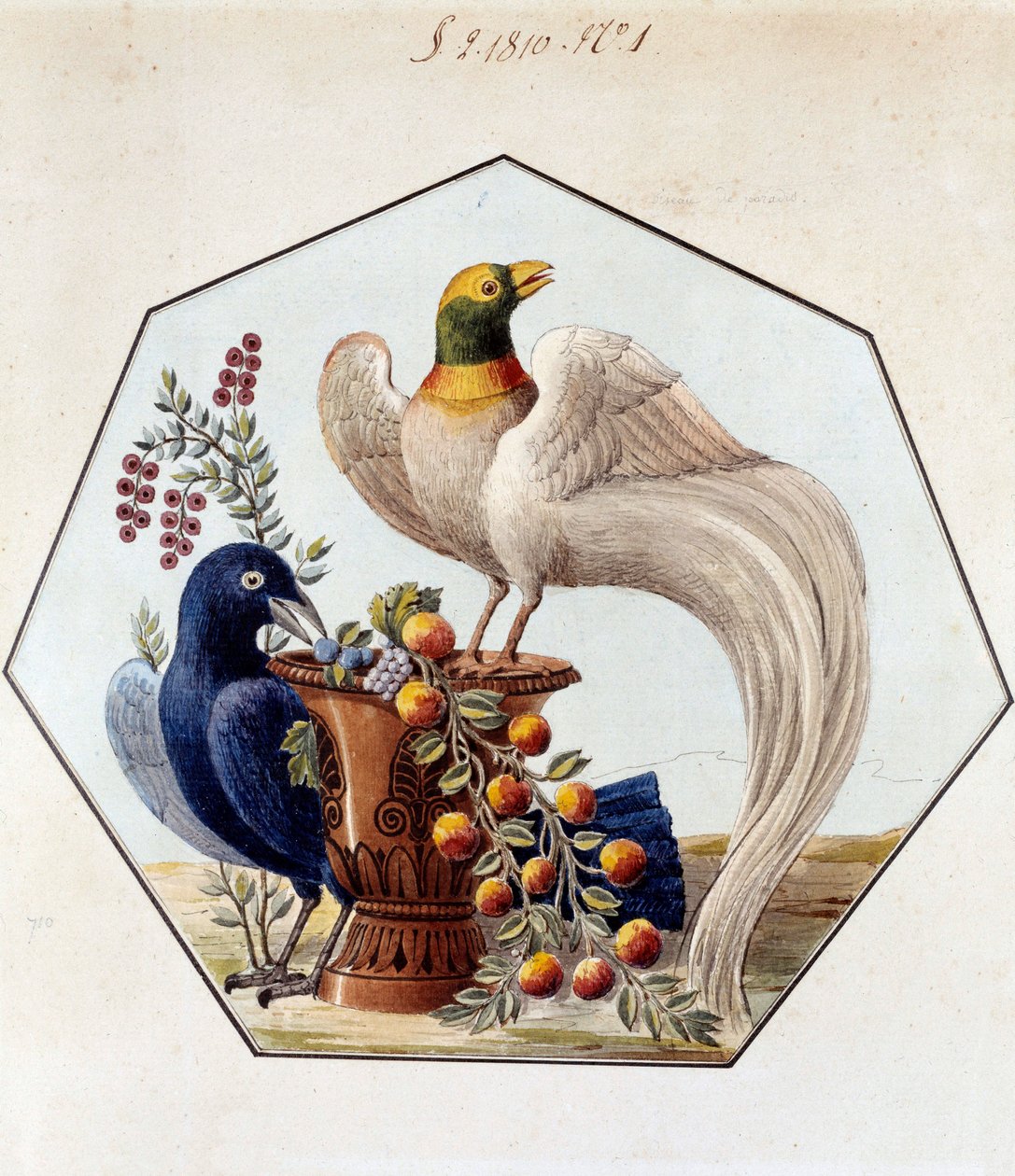 Projekt für den Tisch der Vögel in Porzellan von Alexandre Brongniart (1770-1847). 1810 Sèvres, Archive der Manufacture de Sèvres von French School