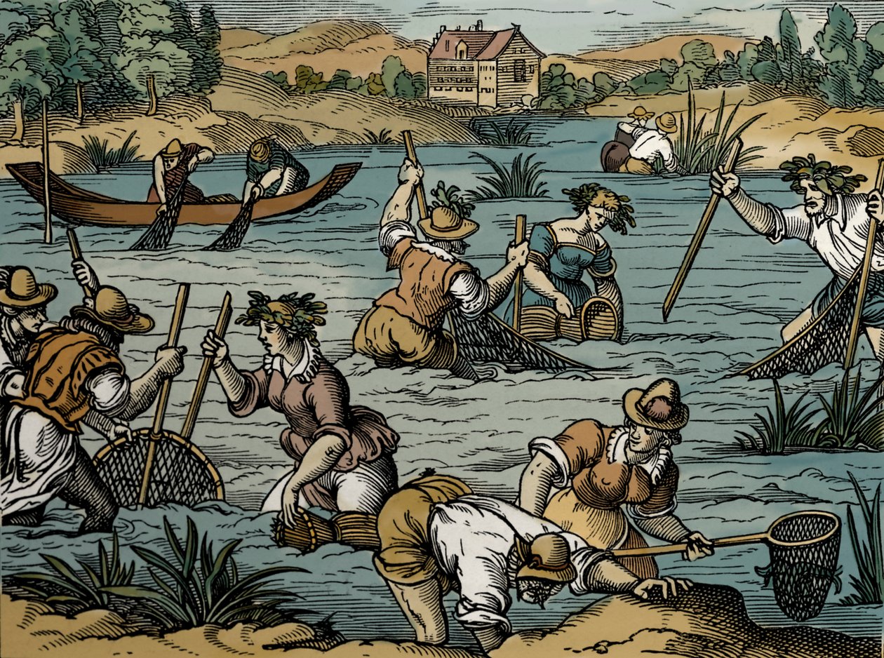 Flussfischen, aus 1584 von French School