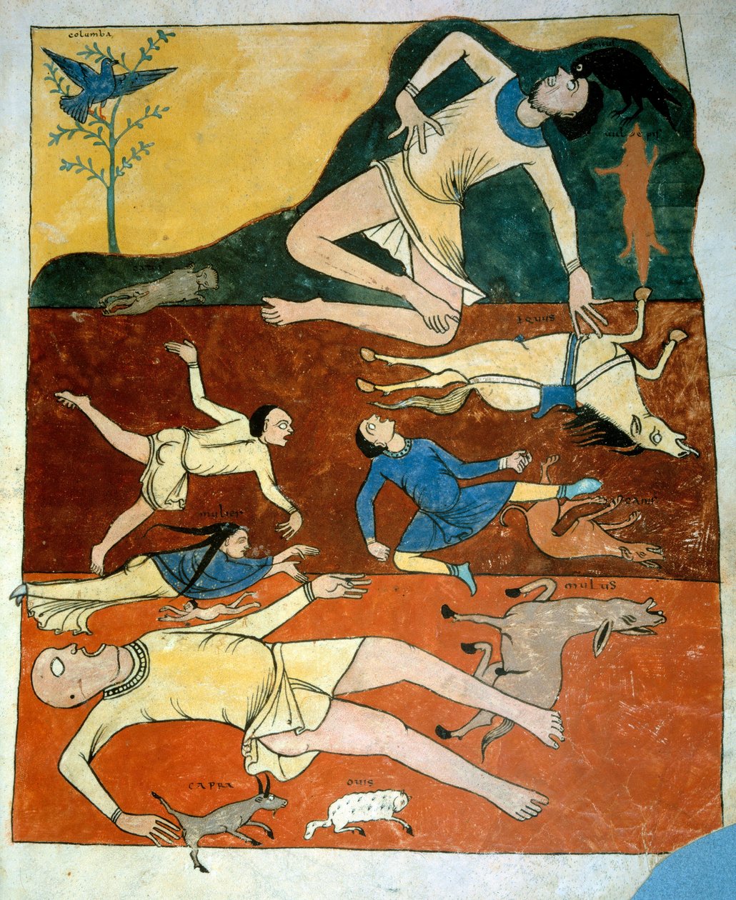 Die Miniatur der universellen Sintflut aus den Kommentaren zu „Die Apokalypse nach Johannes“ geschrieben 775 von dem Mönch Beatus von Liébana von French School