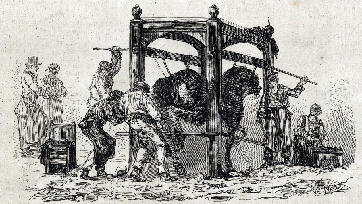 Die Nationale Veterinärschule von Alfort - Les grandes écoles de France - École vétérinaire de Maison Alfort en 1866 - das Beschlagen widerspenstiger Pferde - Gravur in 
