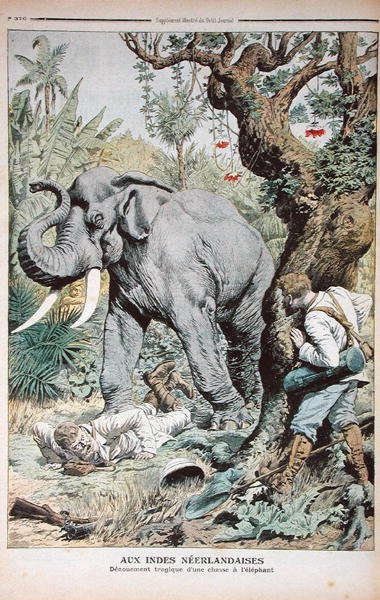 Das tragische Ende einer Elefantenjagd in Indien, Illustration aus Le Petit Journal, 25. November 1906 von French School