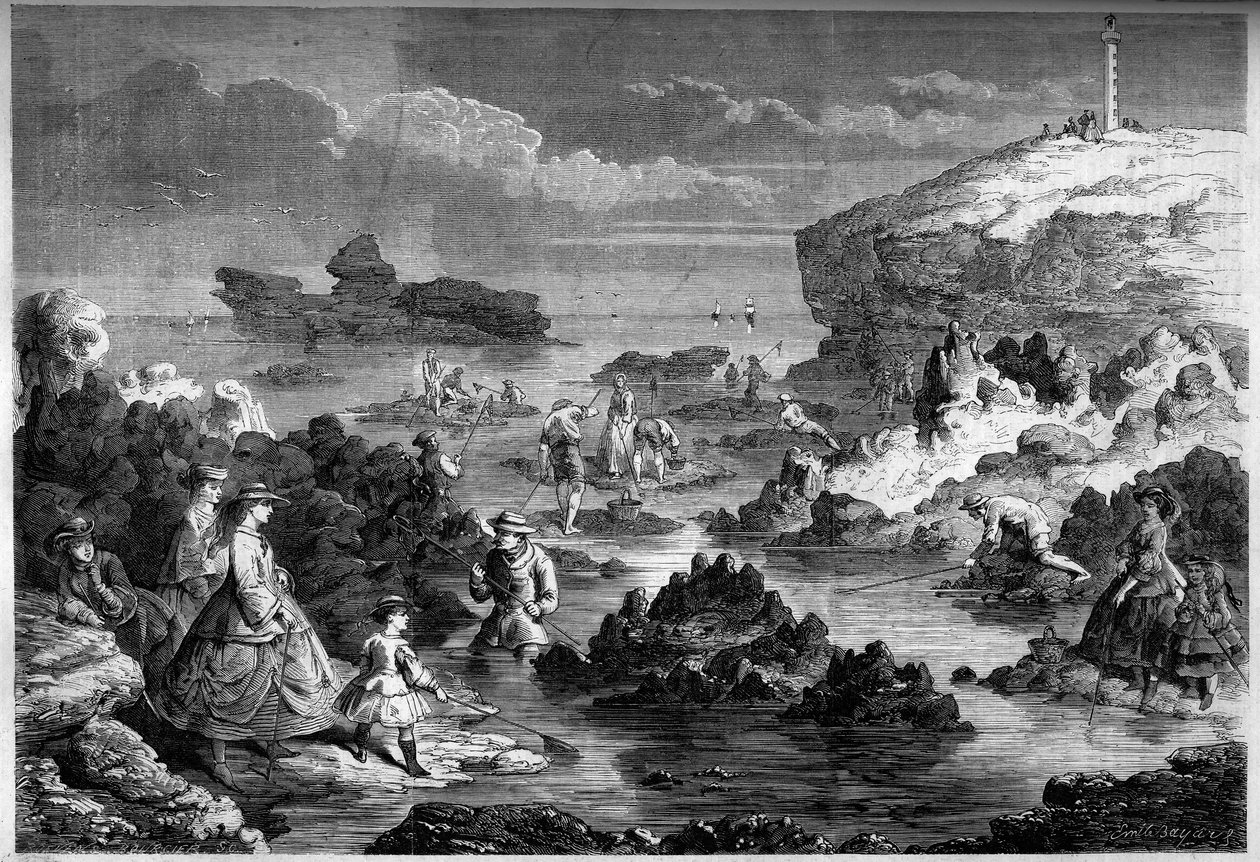 Die Garnelenfischerei in Biarritz, Pyrenees Atlantique von French School
