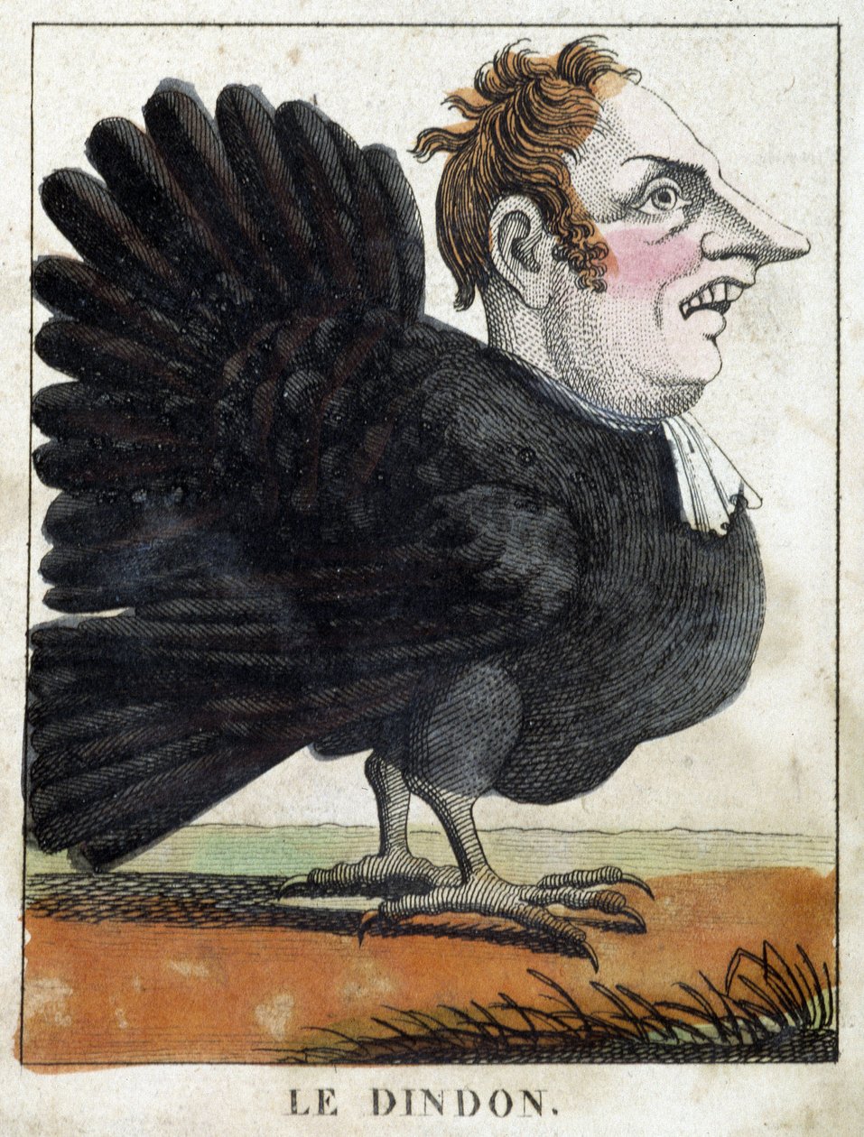 Der Truthahn in Karikatur, Charakterstudie „flüchtiger Charakter“ 19. Jahrhundert, populäre Bildsprache von French School