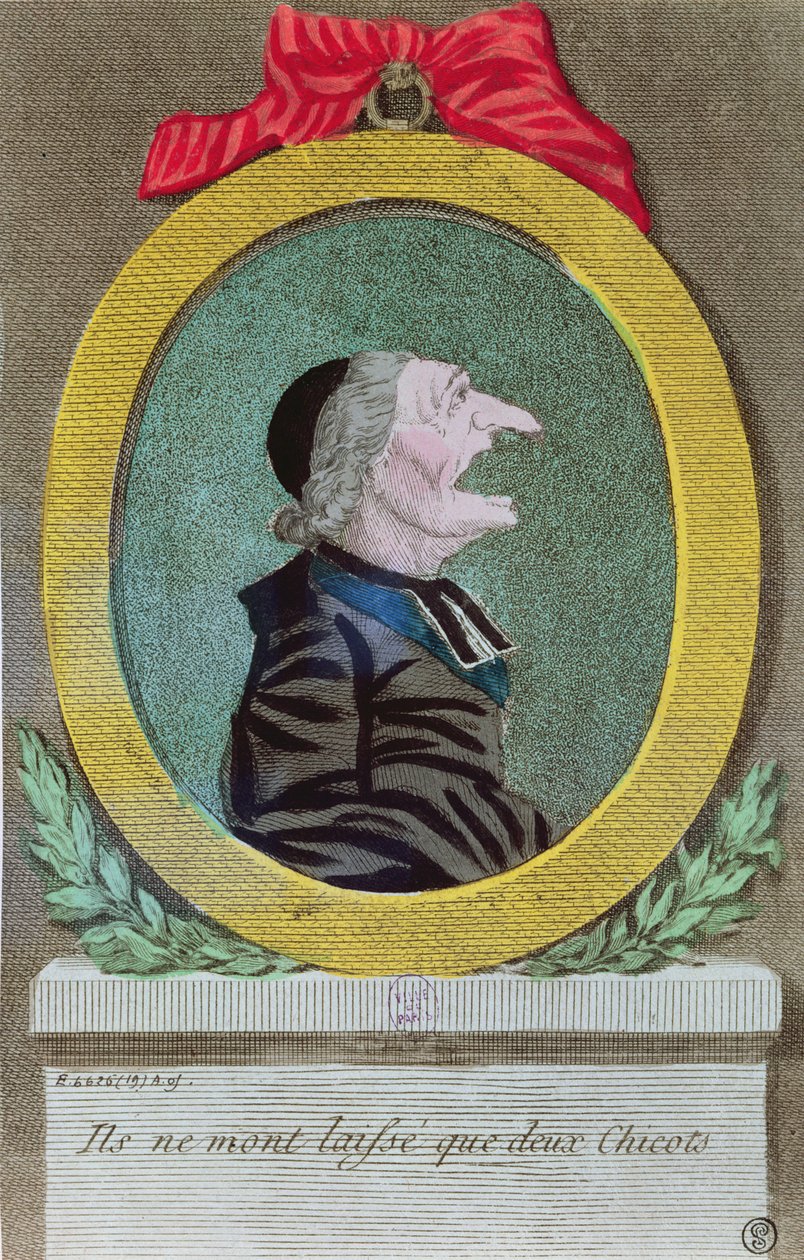 Sie haben mir nur zwei Stümpfe gelassen, 2. November 1789 von French School