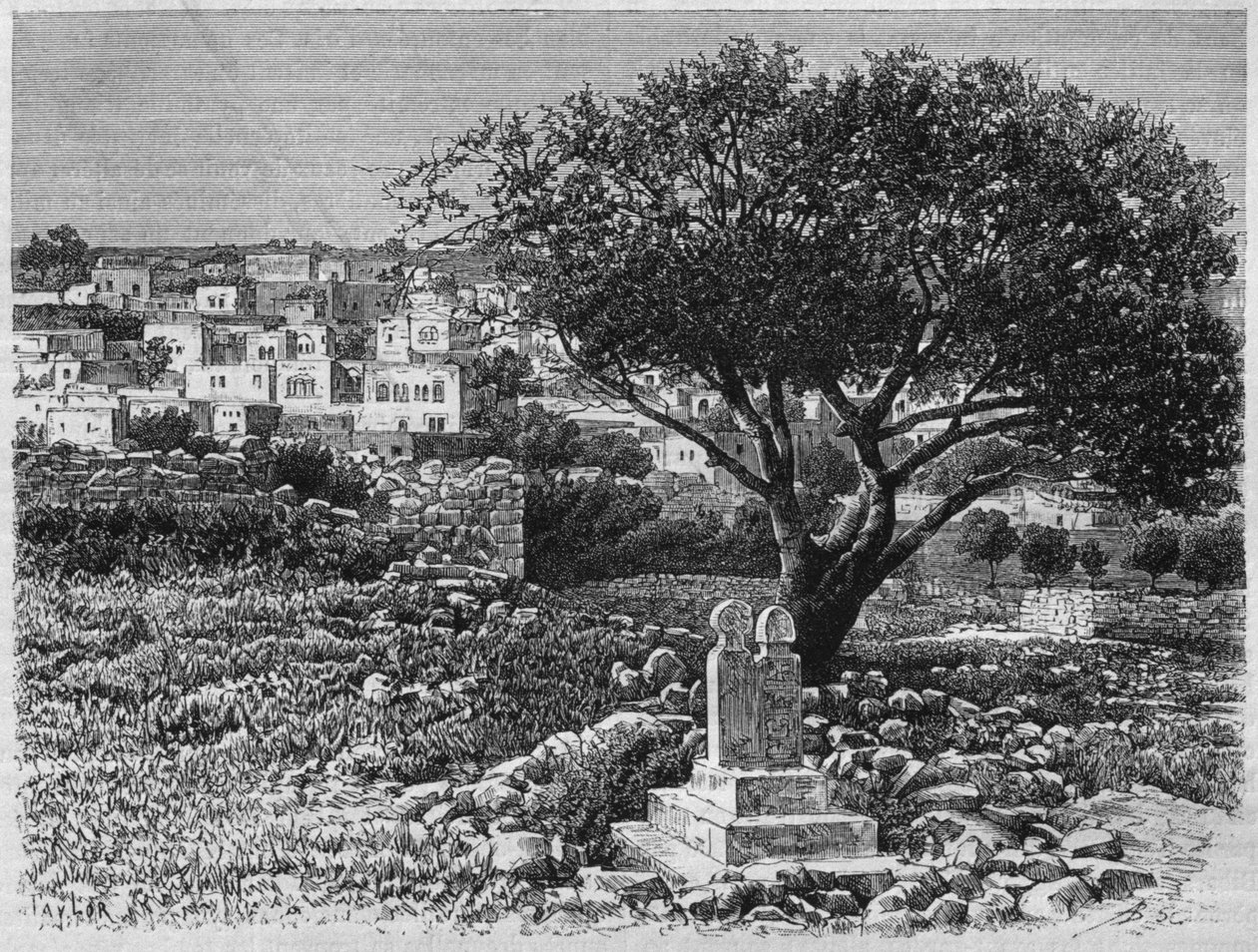 Ansicht von Safed, aus La Syrie d