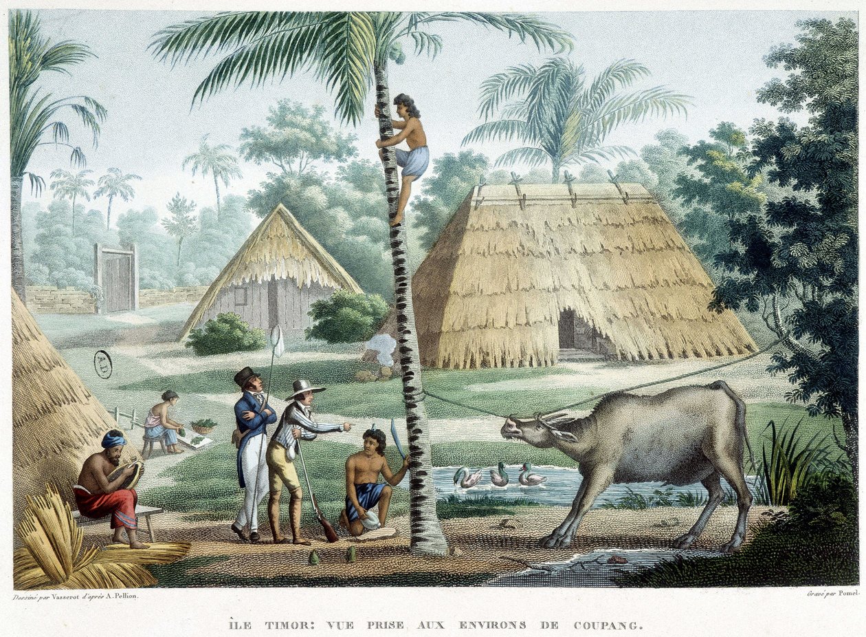 Ansicht in der Nähe von Coupang, Insel Timor von French School