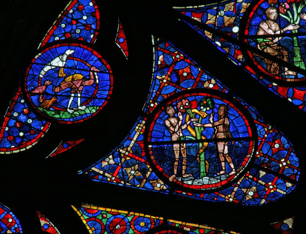 Fenster w115, die Schöpfung darstellend: Vögel, Adam und Eva und die Schlange von French School