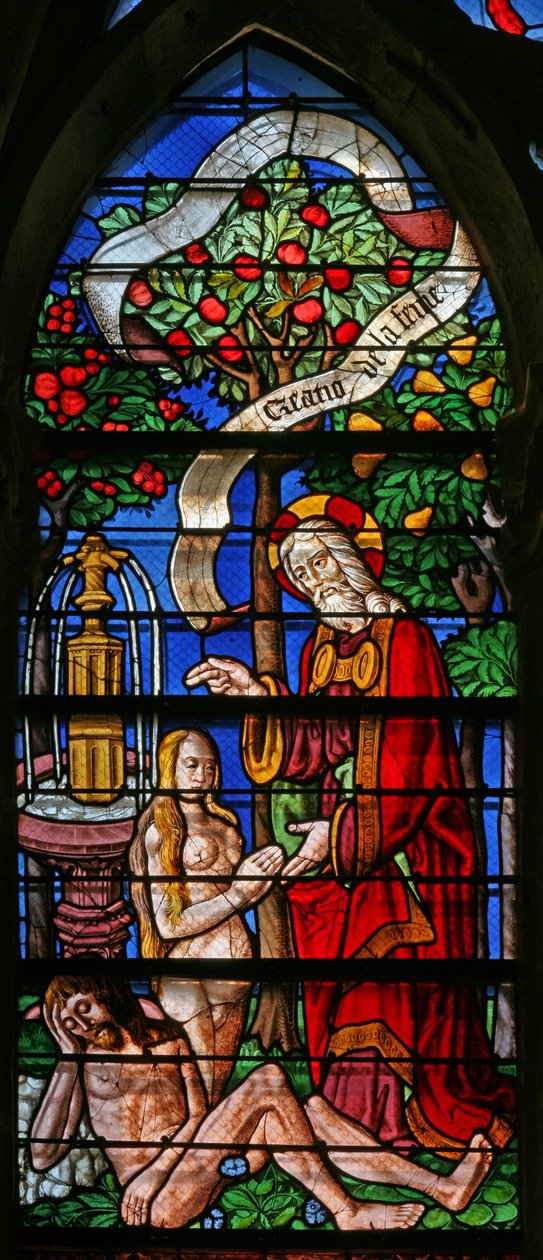Fenster w40, die Erschaffung Evas darstellend von French School