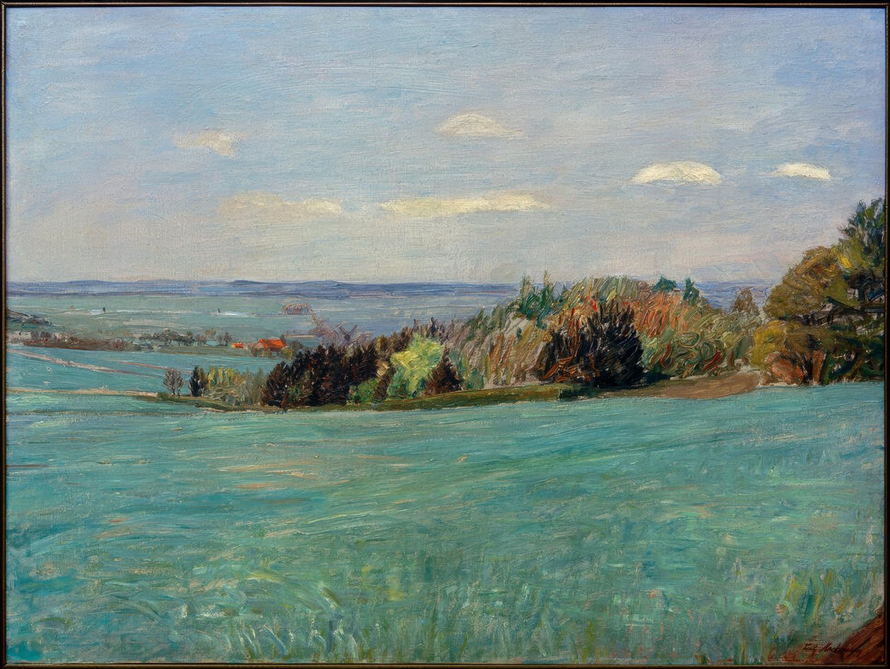 Blick vom Weyerberg von Fritz Mackensen
